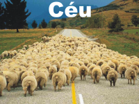 /album/ganhar-almas/ceu-foto-png/